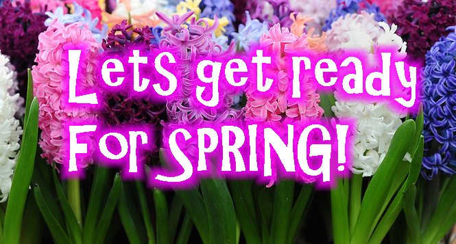 Get ready for spring YOUTUBE pic