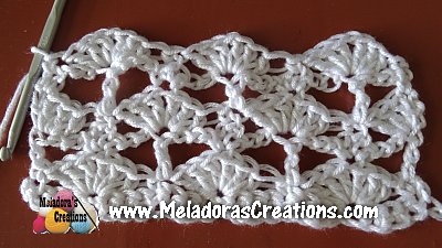 Lacy Shell 9