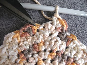 Raspberry Stitch - Free Crochet Pattern