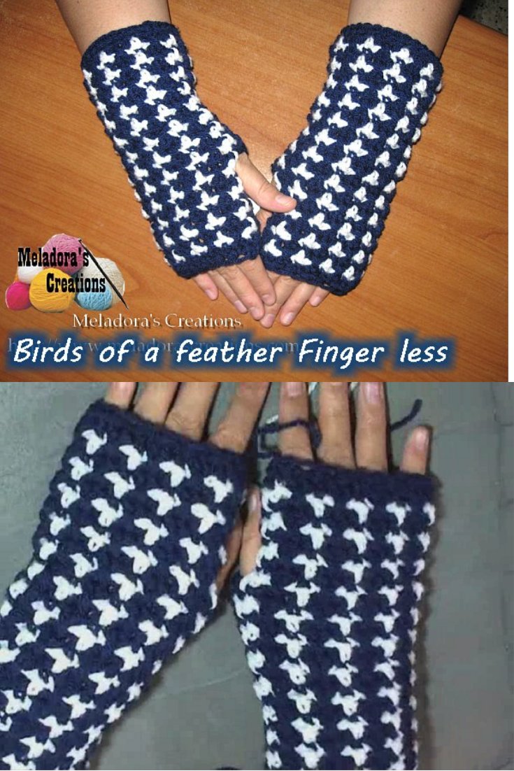 Birds of a Feather Crochet Finger less Gloves - Free Crochet Pattern