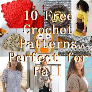 10 Free Crochet Fall Patterns – Link Blast Oct 2018 – Meladora's Creations